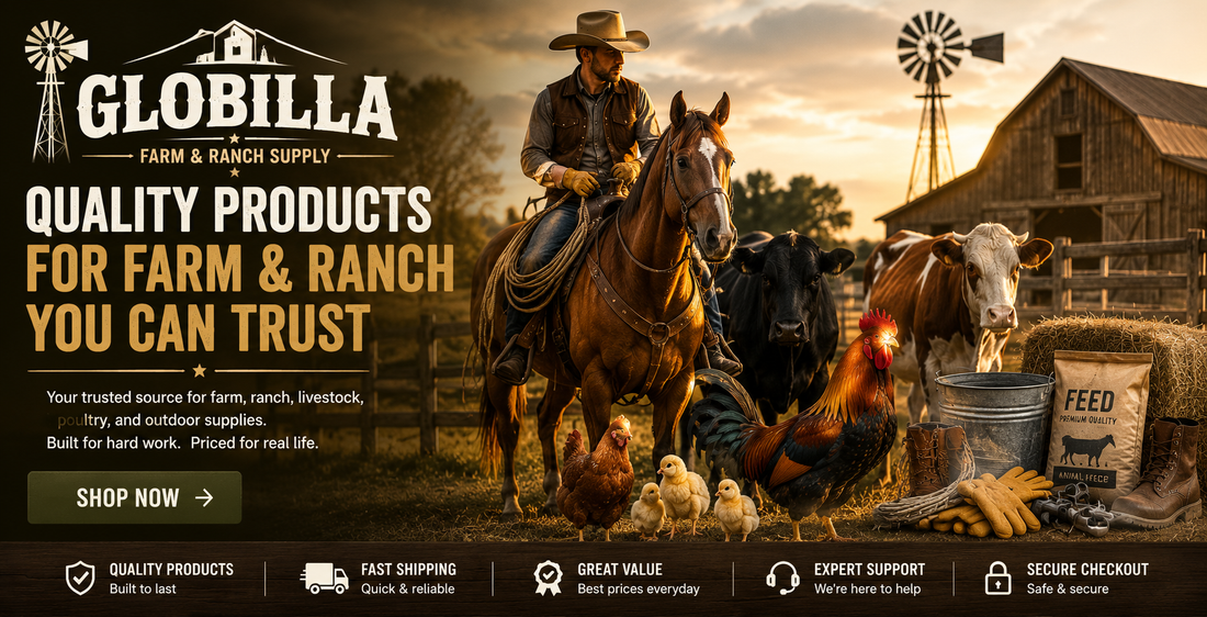 GLOBILLA-Connect With Us-From Garage to the World!!!