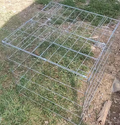5pack Chicken Cage fully Collapsible 24x24inchs door in top roof raise poultry