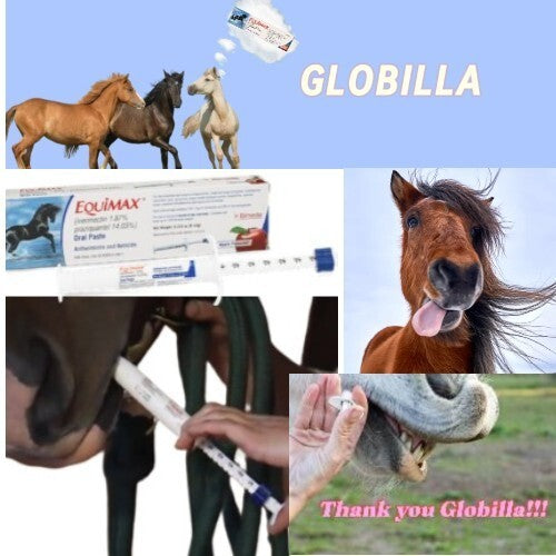 New Box Paste Horse Dewormer Apple Flavor dur-vet equi max worm 2pack
