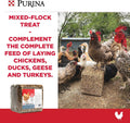 25 lbs  Flock Block Supplement, Chicken Supplement for Free-Ranging Laying Hens