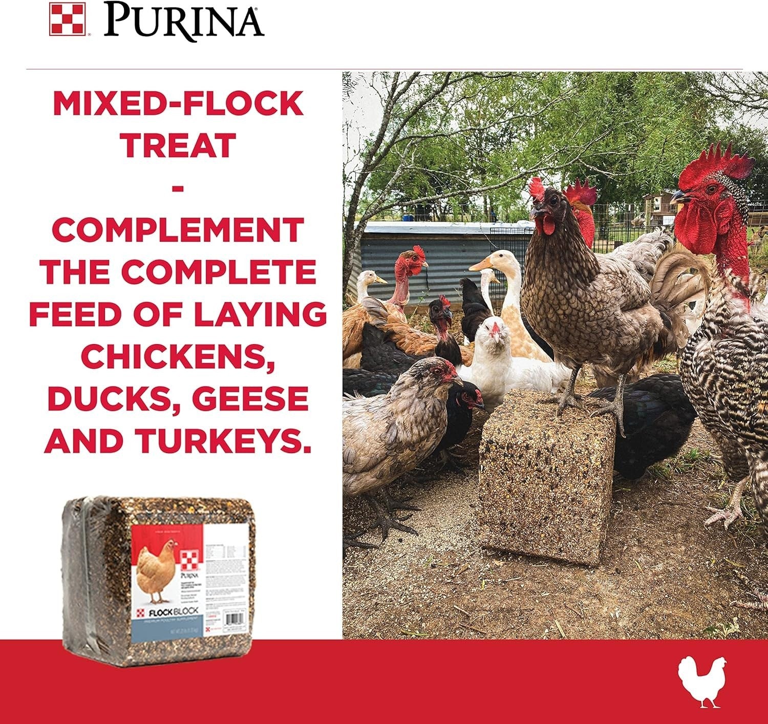 25 lbs  Flock Block Supplement, Chicken Supplement for Free-Ranging Laying Hens