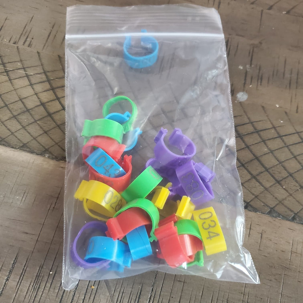 Bandettes 25 Pieces Numbered EZ-LOCK in Vibrant Colors for Enhanced Gri