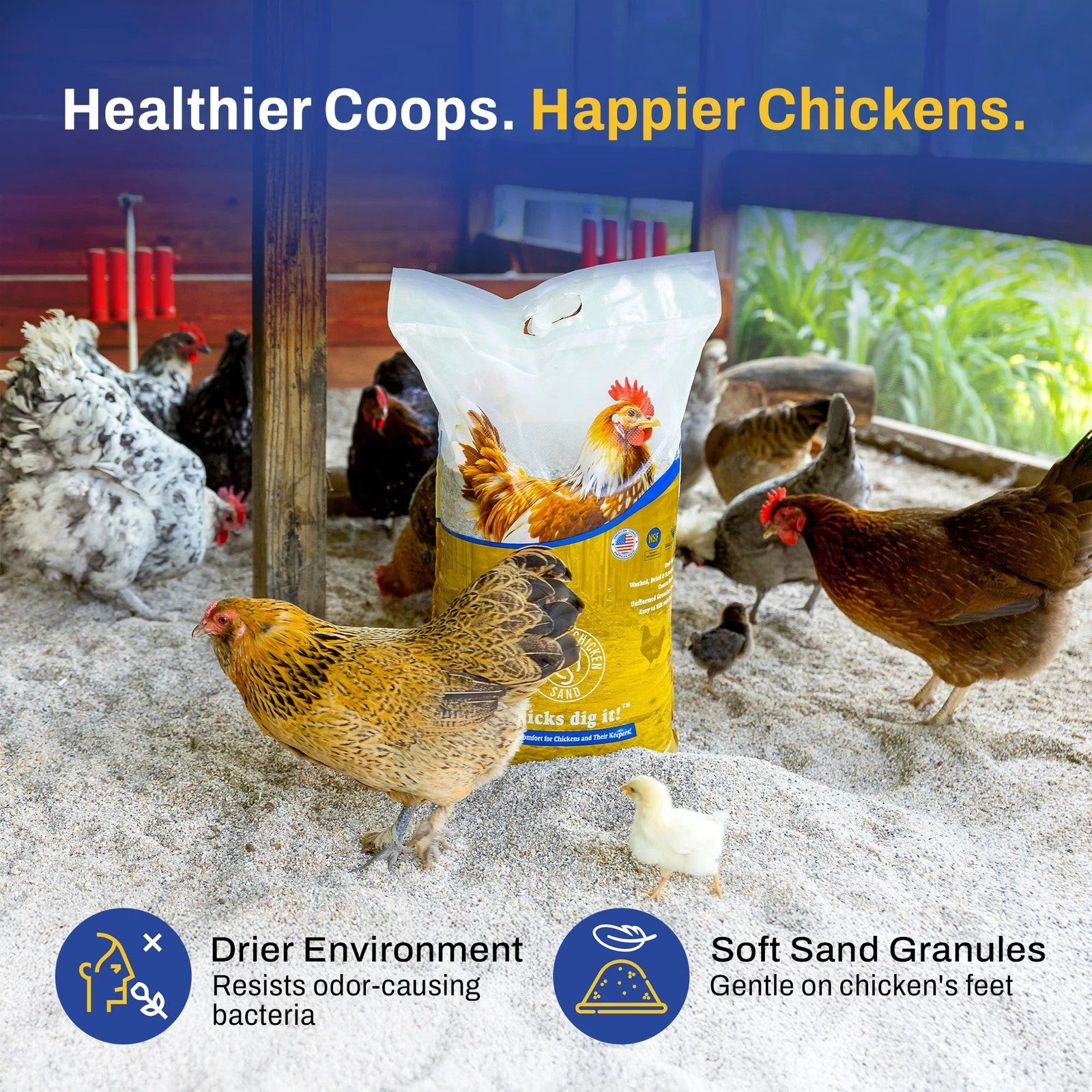 Premium Chicken Sand, Odor Eliminating Bedding for Coops, 50 Lb Bag, 4 Pack