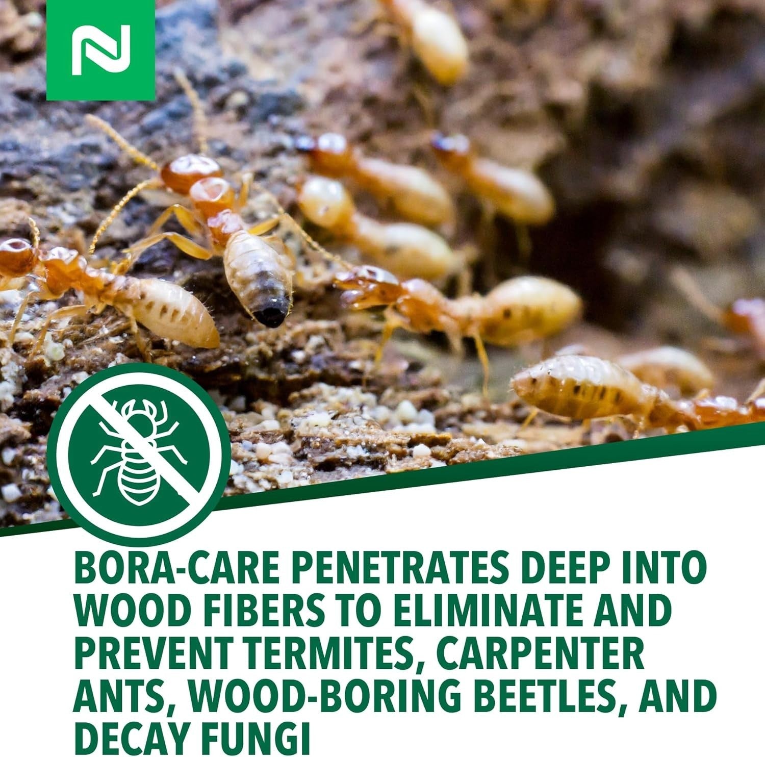 Bora-Care Termite Control BoraCare Termiticide & Borate Fungicide - 1 Gallon