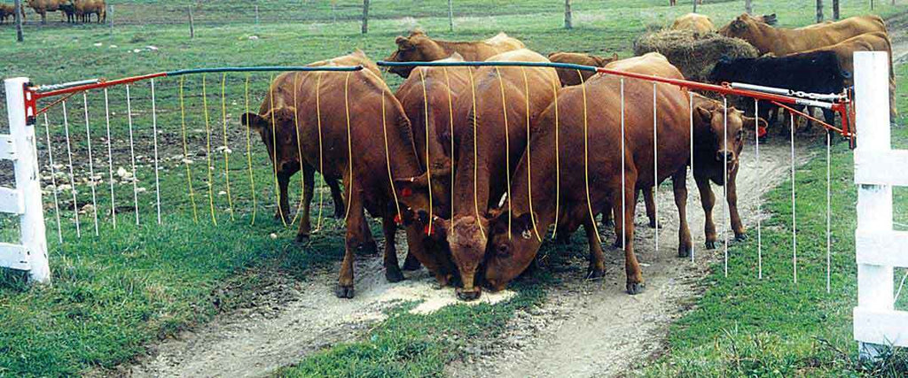 Drive-Thru Electric Gate for Livestock Holding No more opening and closing