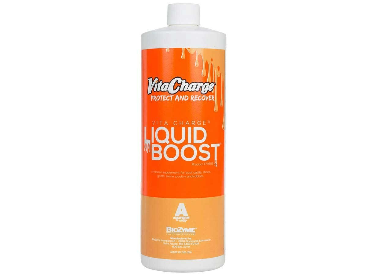 Vita Charge Liquid Boost 32 oz. BEEF & DAIRY CATTLE SHEEP & GOATS SWINE