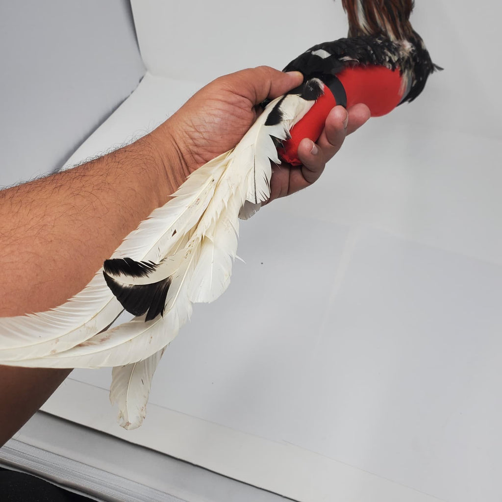 Handmade Mona Con Plumas Natural Feather