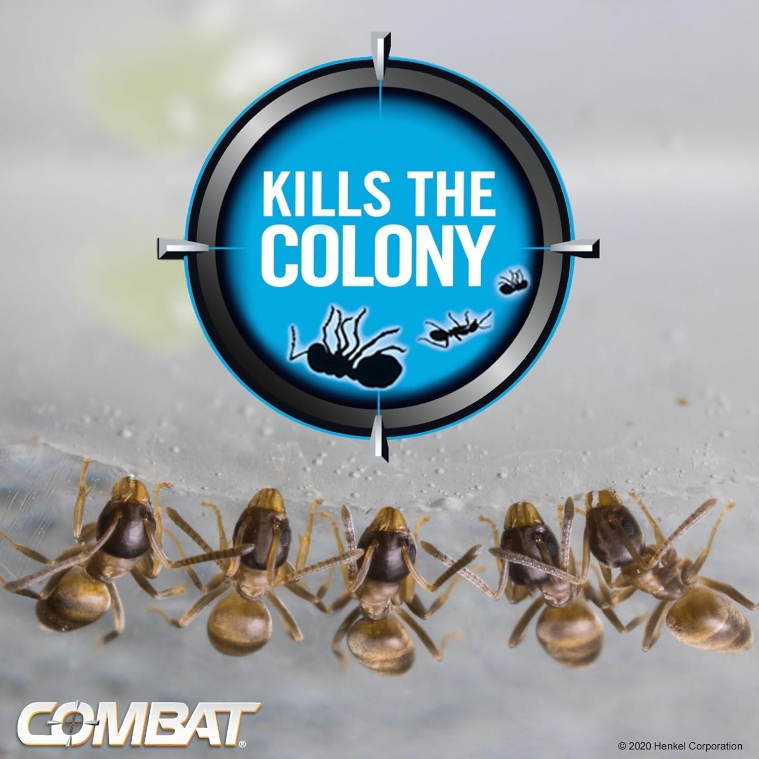 COMBAT MAX Bait Station ANT KILLER In & Outdoor  6 Count