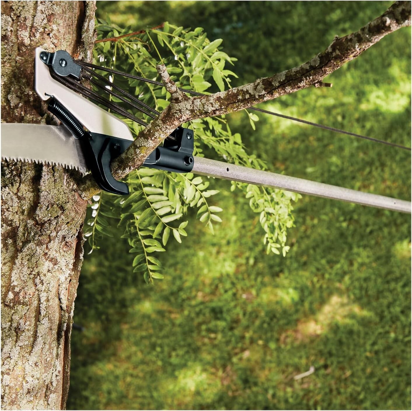 Best Extendable Pole Saw and Tree Pruner Lawn and Garden Tools  Black/Orange