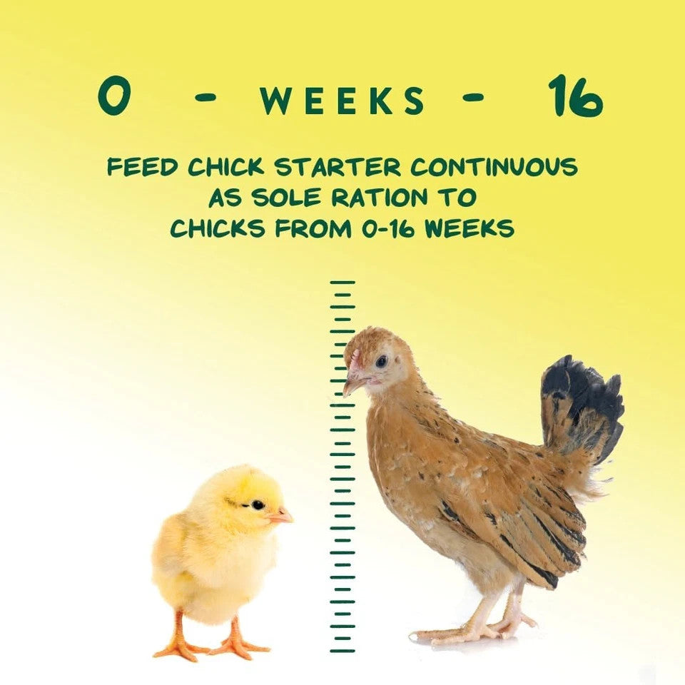 Medicated Chick Starter Grower Feed, Dried High Protein Chicken Food Crumbles