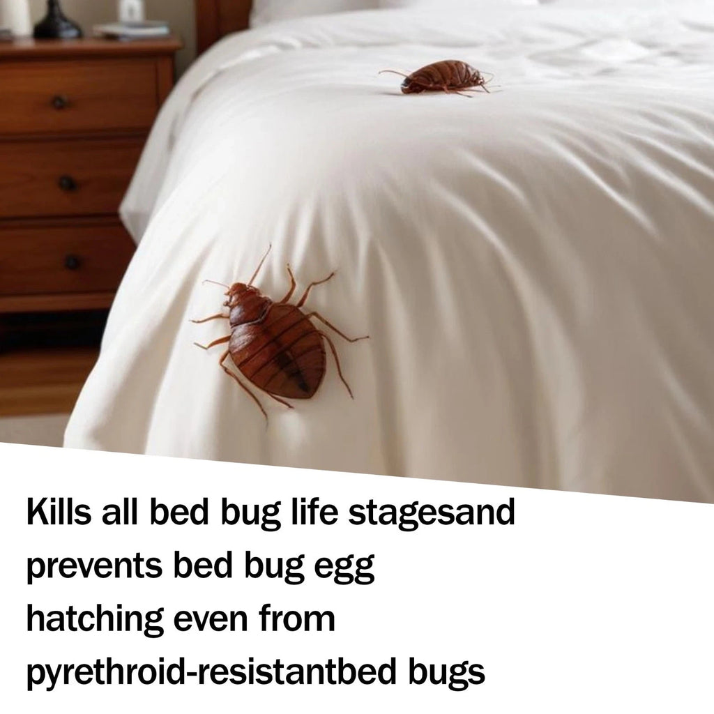 13 oz CrossFire Bed Bug Control Concentrate  Kill Bedbugs and Eggs  Cross Fire