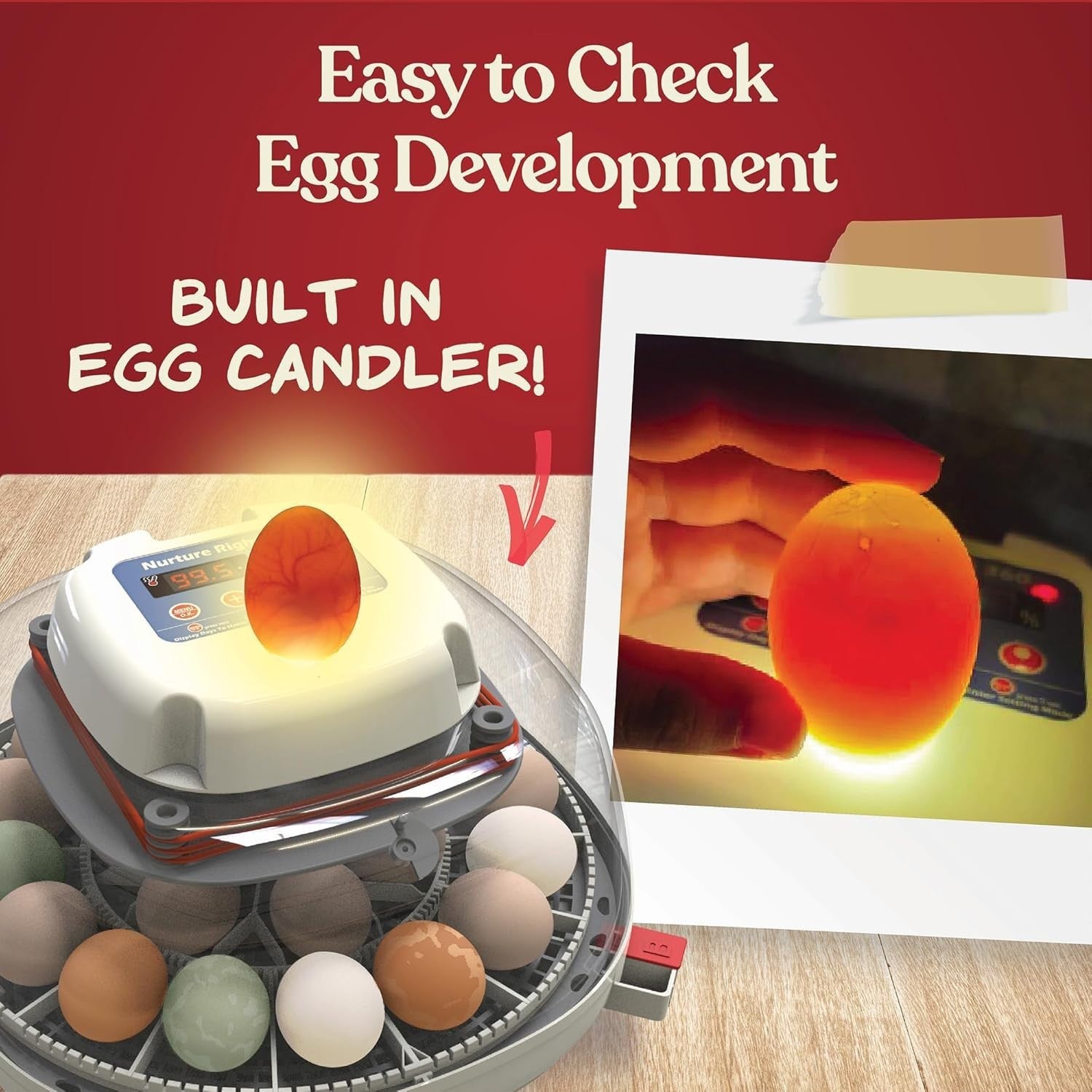 Nurture Right Egg Incubator Automatic Turner Temp Humidity Control