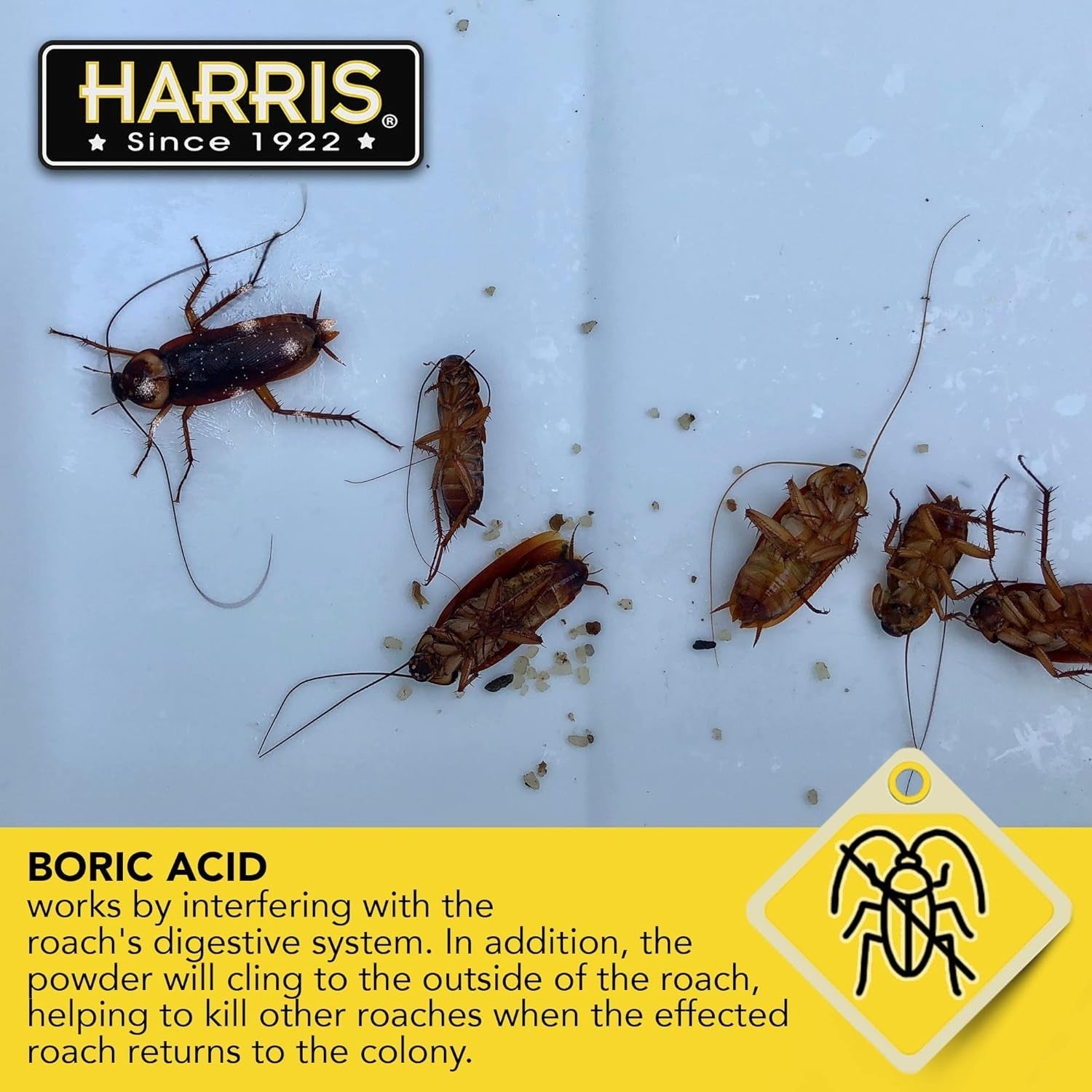 16oz Harris ROACH POWDER with Lure - Kills Roaches,Palmetto Bugs,Silverfish