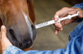 New In Box Paste Horse Dewormer wormer Apple Flavor 1.87% Iver farn