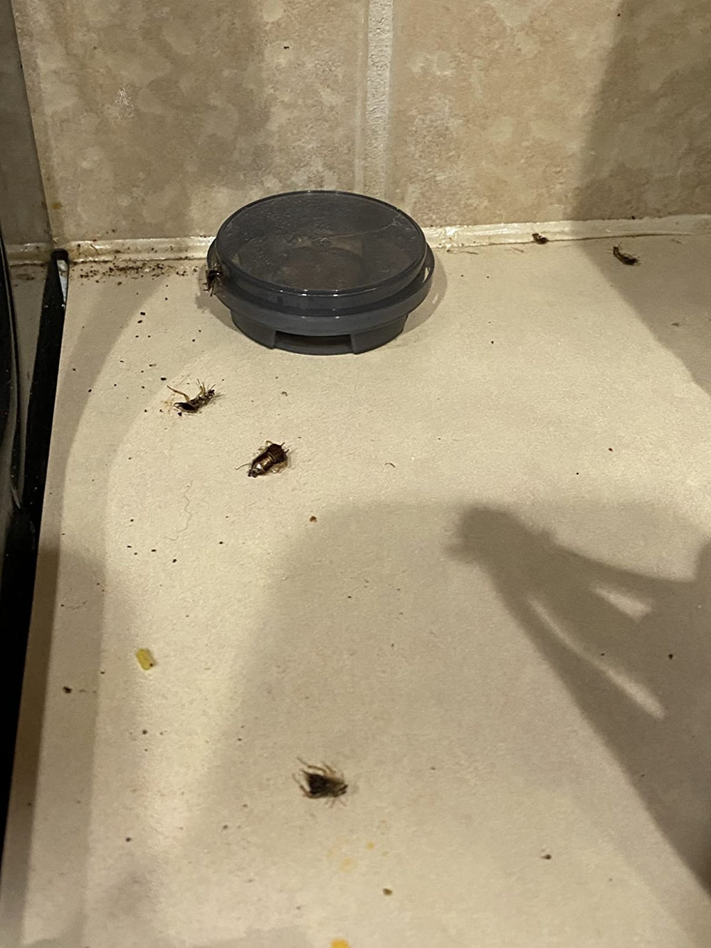 1 Bag of 12 Advion Cockroach German Roach Control Bait Station Arenas