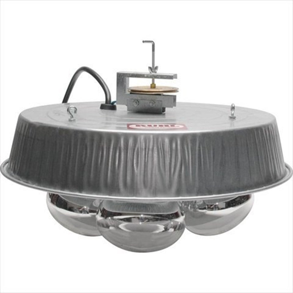 Four light Infrared Brooder