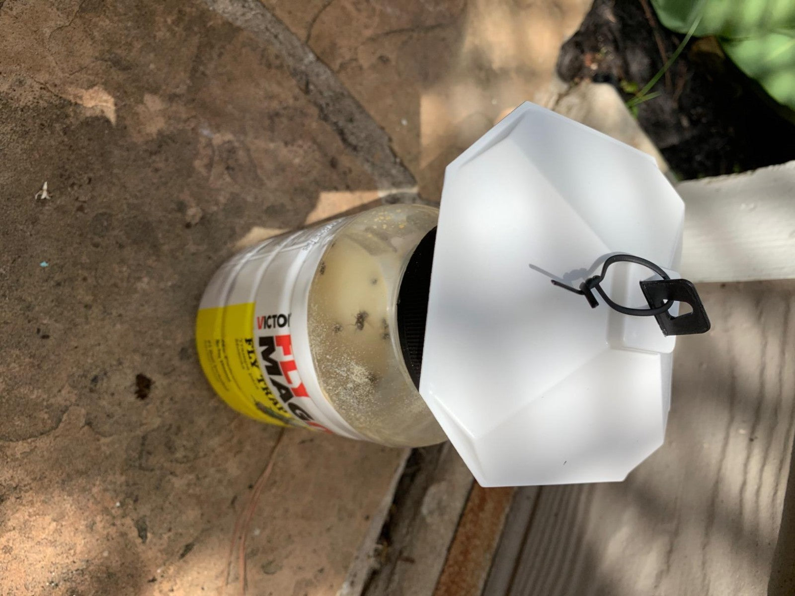 VICTOR FLY MAGNET Reusable Trap with Bait Insect Killer Repellent Pest Catcher