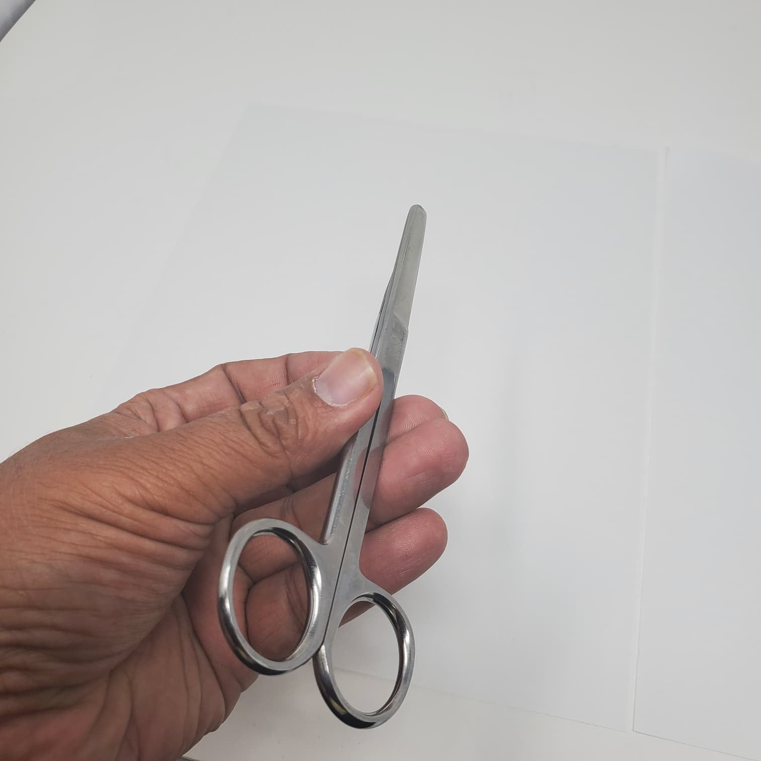 6.5" Straight Blade Stainless Tijeras de aseo y uso general para aves de corral