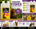 Durvet Poultry Power Conditioning Supplement 16 Oz