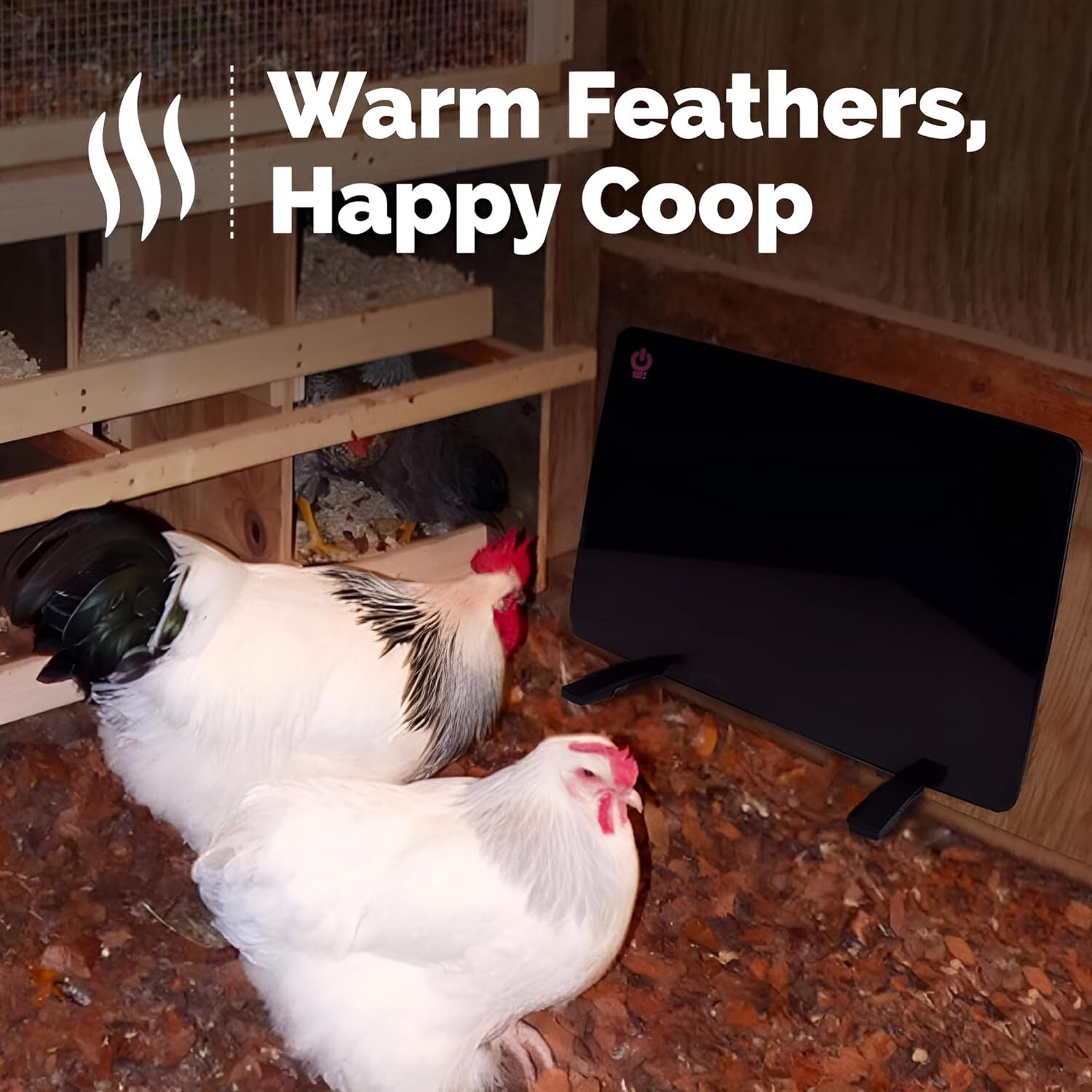 Cozy Coop Chicken Coop Heater, 200-Watt, Safe Radiant Space Heat