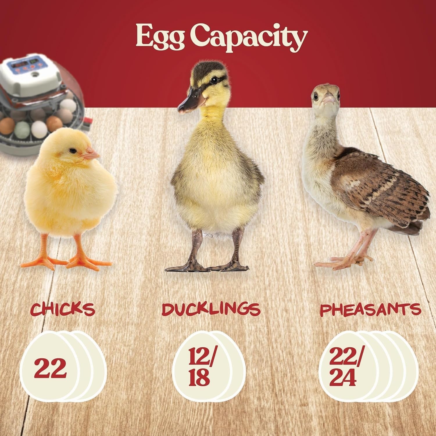 Nurture Right Egg Incubator Automatic Turner Temp Humidity Control