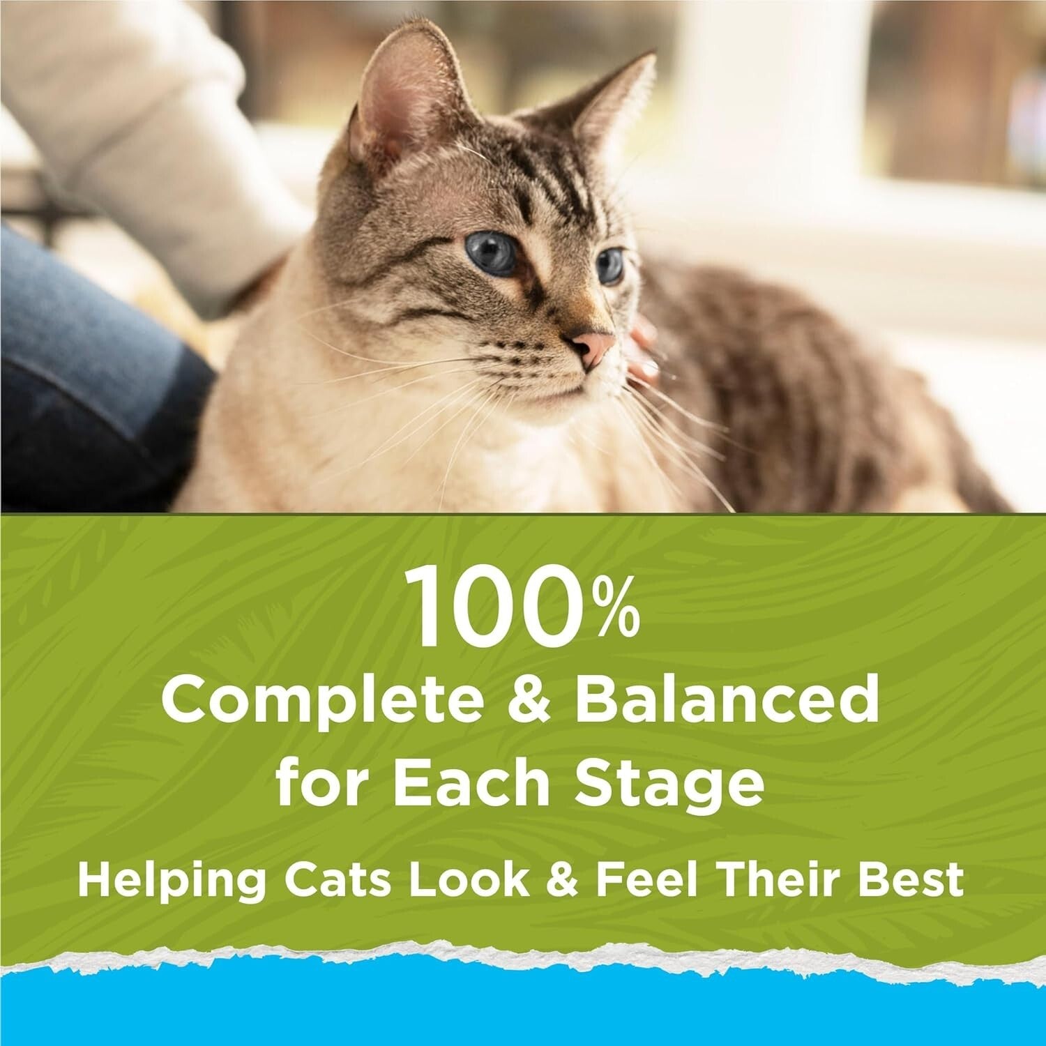 Cat Chow Hairball, Healthy Weight, Indoor, Natural Dry Cat Food, Naturals Indoor