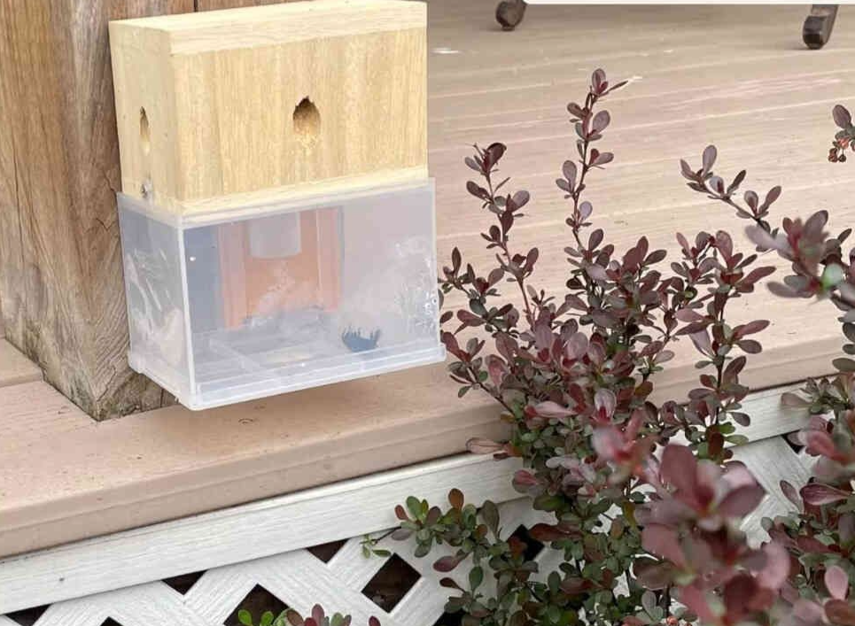 Carpenter Bee Trap attached or affixed Mimics  natural nest Low maintenance