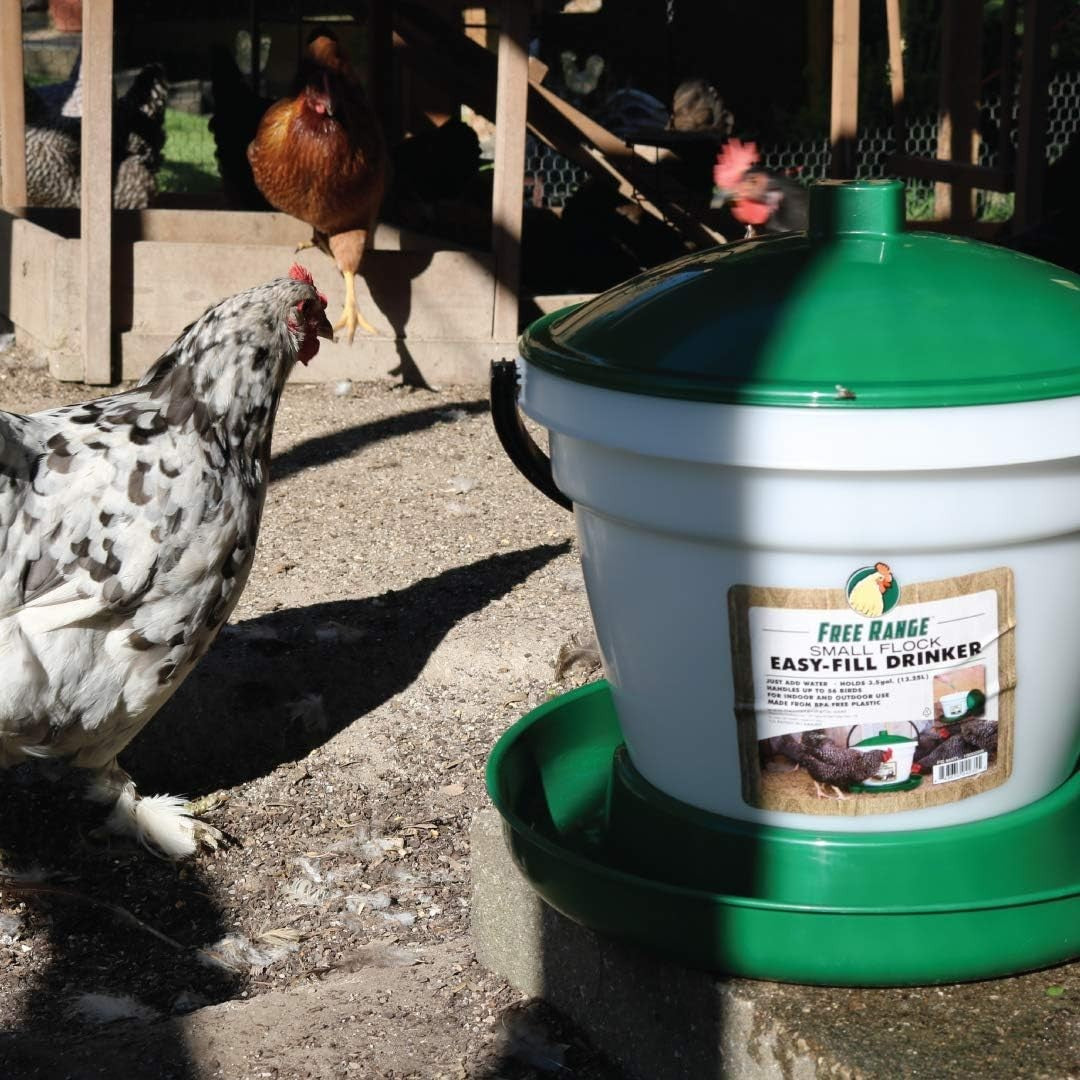 Large Flock Easy Fill Poultry Drinker 6.25 Gallon BPA Free Waterer