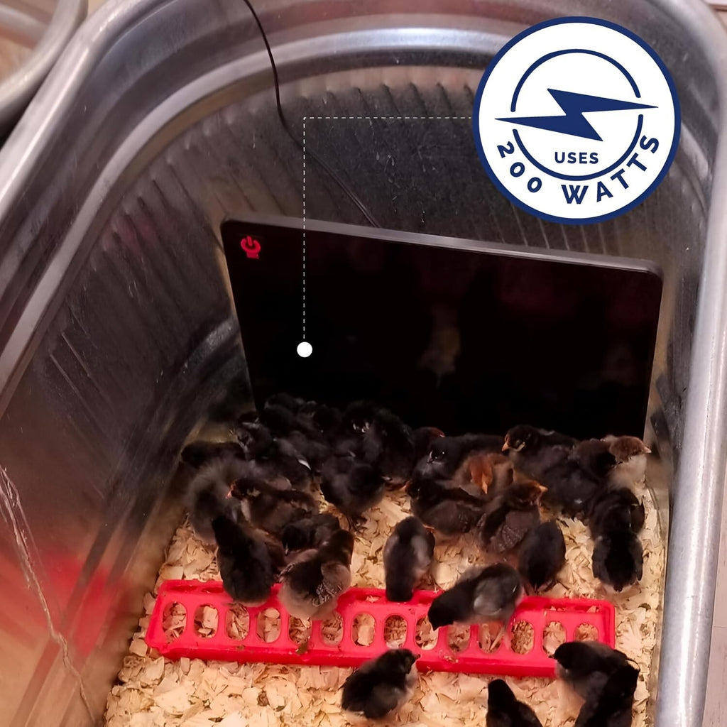 Cozy Coop Chicken Coop Heater, 200-Watt, Safe Radiant Space Heat