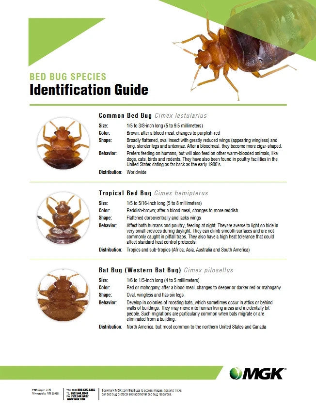 13 oz CrossFire Bed Bug Control Concentrate  Kill Bedbugs and Eggs  Cross Fire