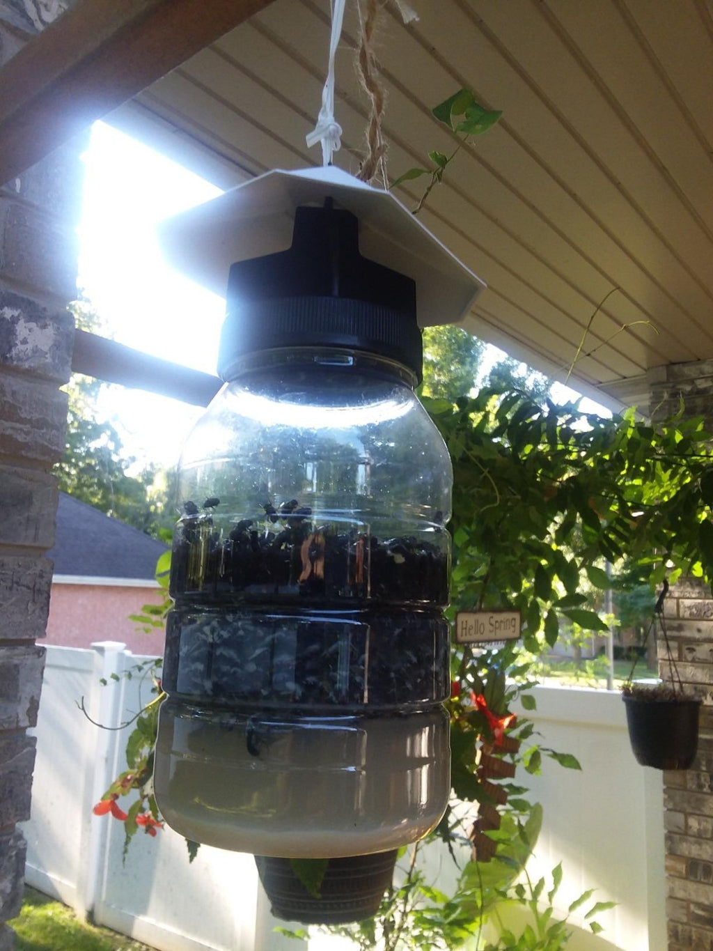 VICTOR FLY MAGNET Reusable Trap with Bait Insect Killer Repellent Pest Catcher