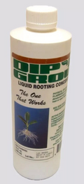 Dip 'N Grow Liquid Rooting Hormone Concentrate  16 fl oz bottle