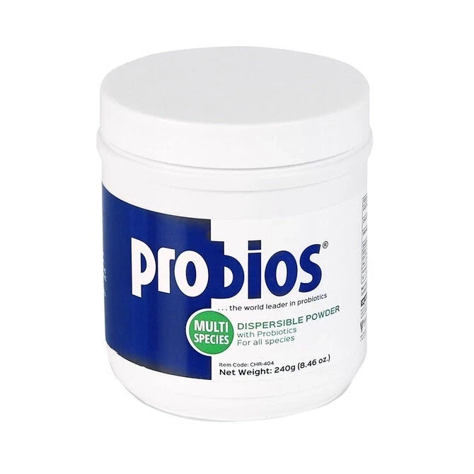 Probiotic Powder Multi Species Supplement - 240GM