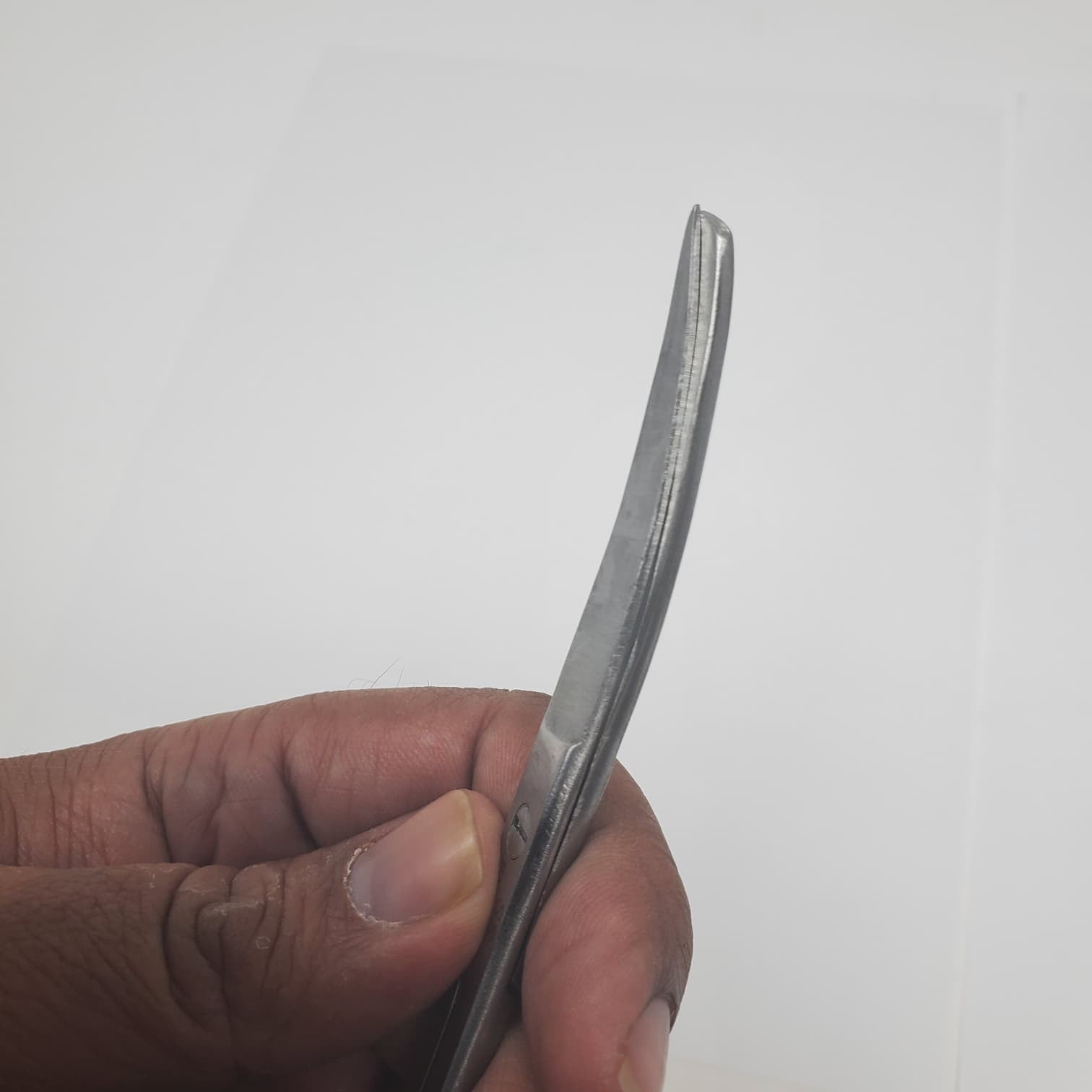 6.5" Curved Blade Stainless Steel Scissors  Tijeras de aseo y uso general para a