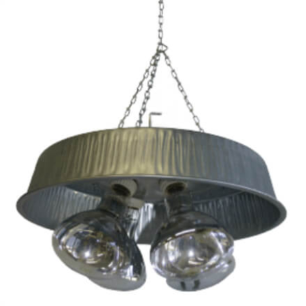 Four light Infrared Brooder