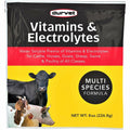 Durvet Vitamins & Electrolytes for Cattle, Horses, Sheep, Swine, Poultry (8 oz)