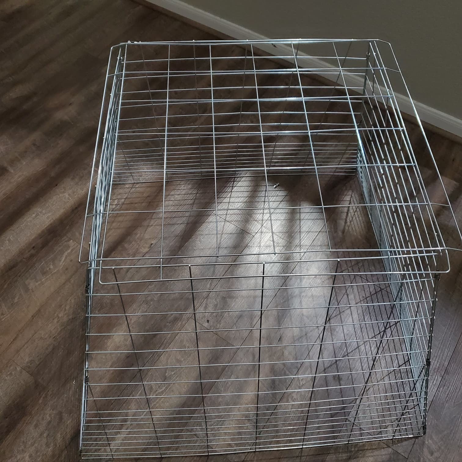 5pack Chicken Cage fully Collapsible 40 x 40 x 30 raise poultry Galvanized