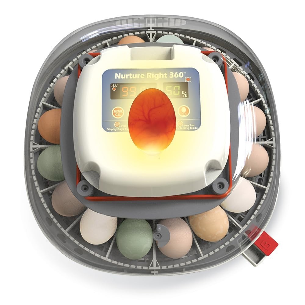 Nurture Right Egg Incubator Automatic Turner Temp Humidity Control