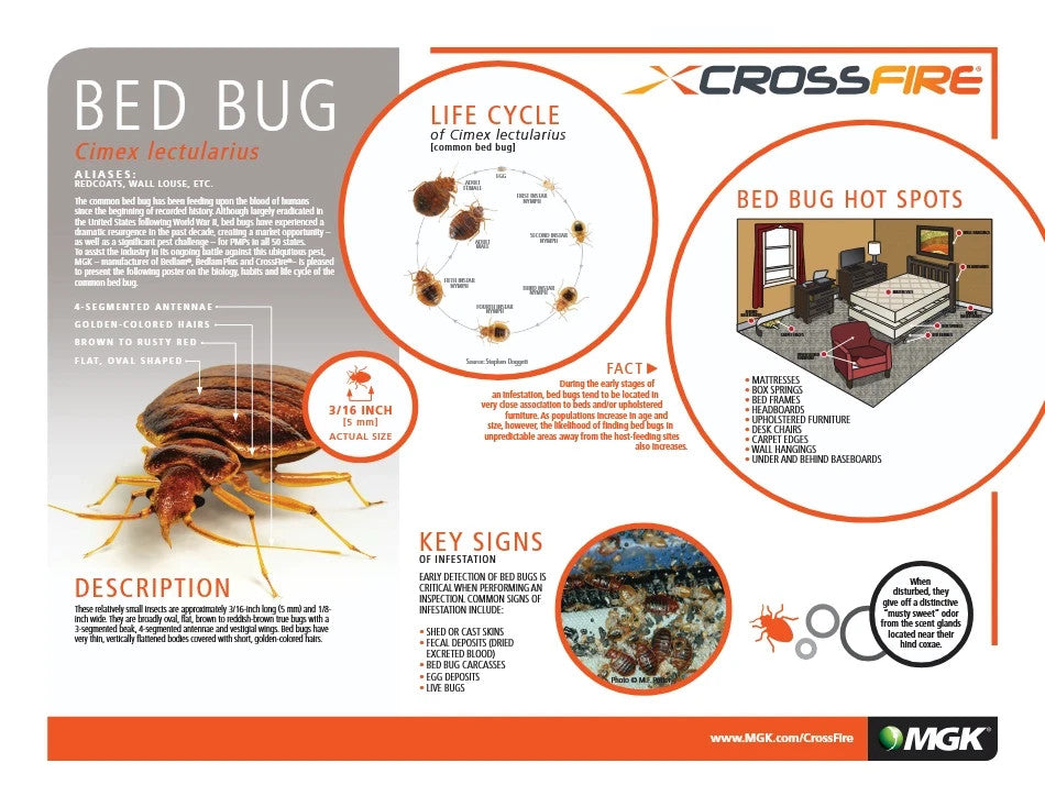 13 oz CrossFire Bed Bug Control Concentrate  Kill Bedbugs and Eggs  Cross Fire