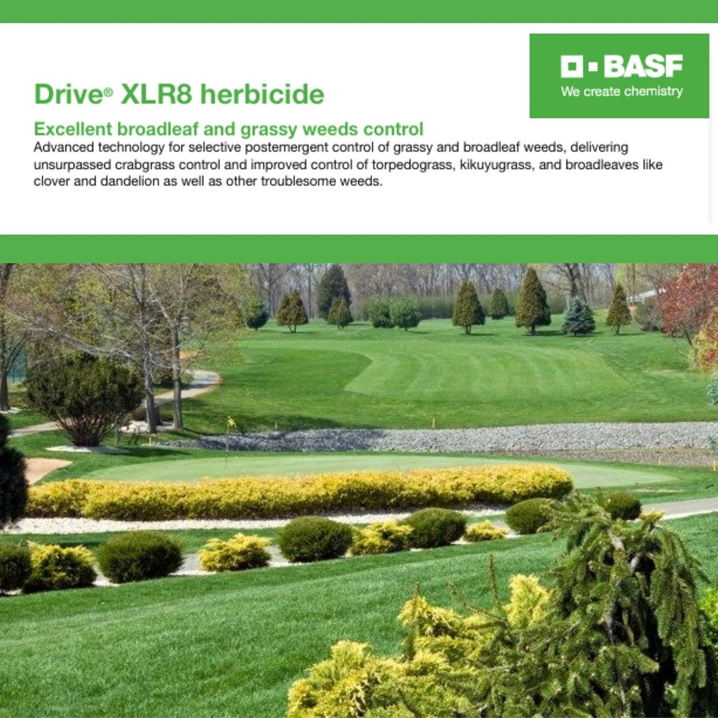 Drive XLR8 Herbicide - 1/2 Gallon | Quinclorac Crabgrass Killer