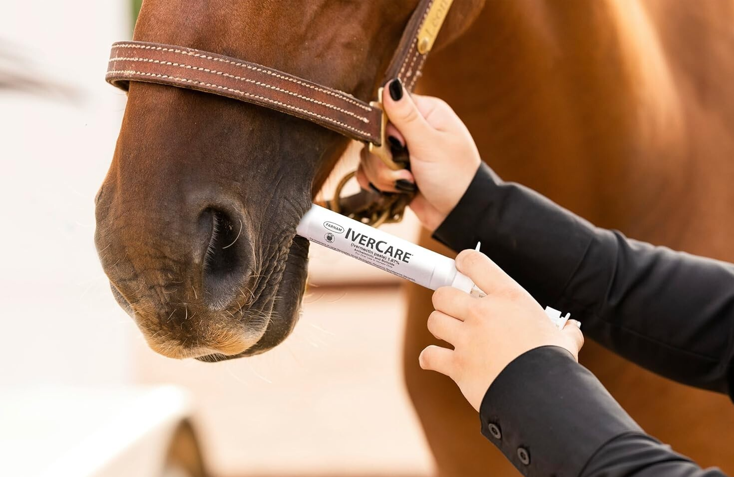 New pack  In Box Paste Horse Dewormer Apple Flavor