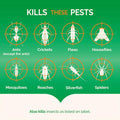 6 Can Hot Shot INDOOR FOGGER Bug Bomb Insect Killer Tick Roach Ant Spider Flies