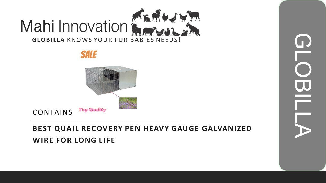new best Quail Recovery Pen heavy gauge galvanized wire for long life