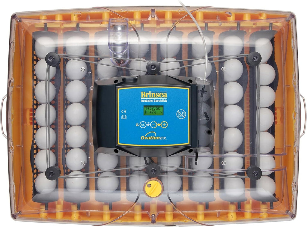 new Ovation 56 EX Egg Incubator Automatic Egg Turning and Humidity Control