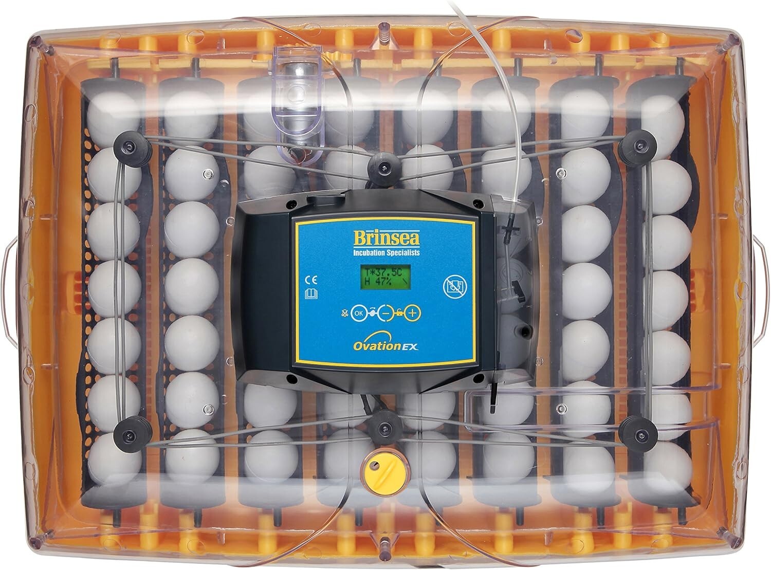 new Ovation 56 EX Egg Incubator Automatic Egg Turning and Humidity Control