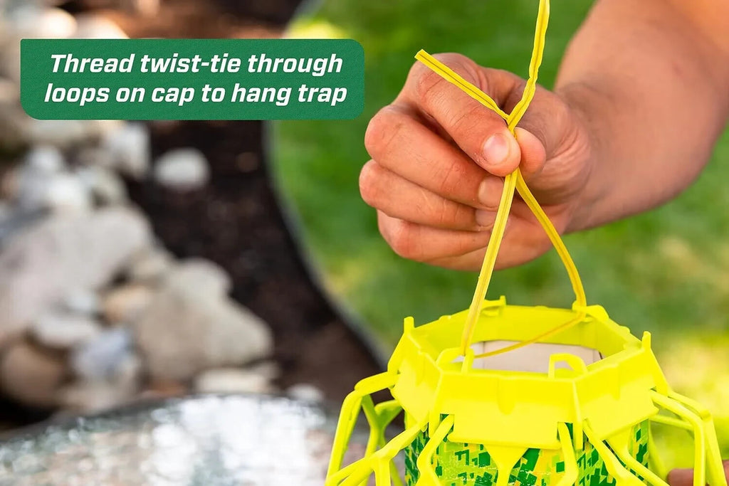 Wasp TrapStik Traps Wasps Mud Daubers & Carpenter Bees - 10 Traps
