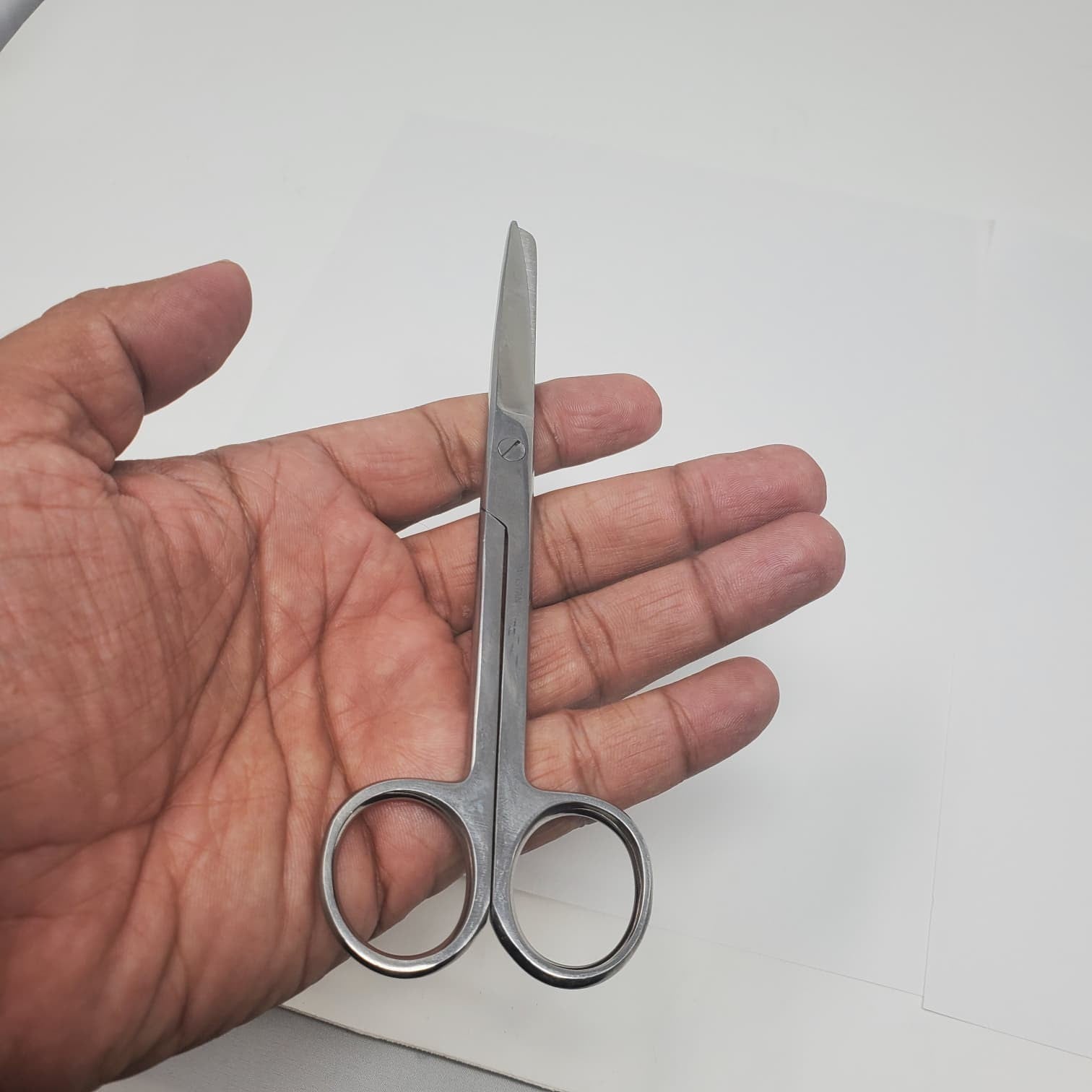 6.5" Straight Blade Stainless Tijeras de aseo y uso general para aves de corral