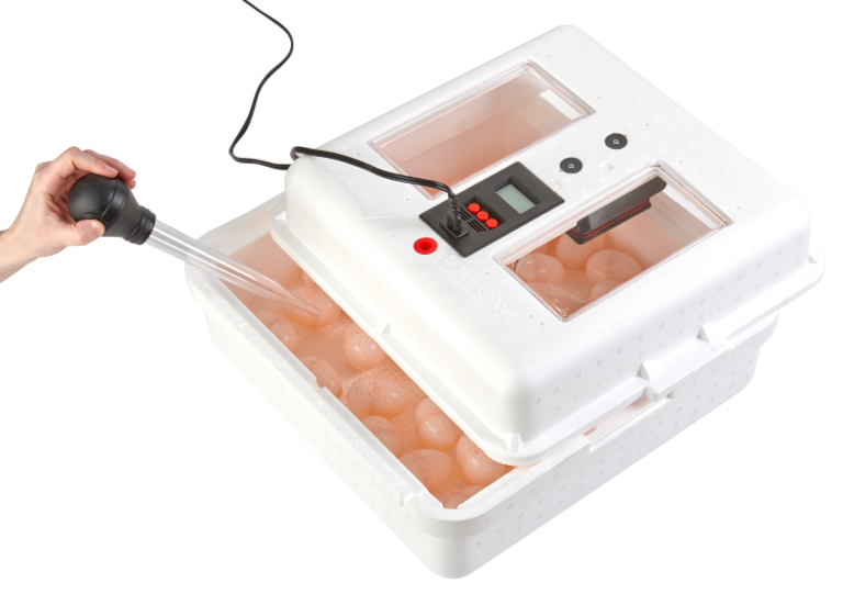 Little Giant 9300 Digital Still Air Incubator w/ LCD Display for 41 Eggs, White