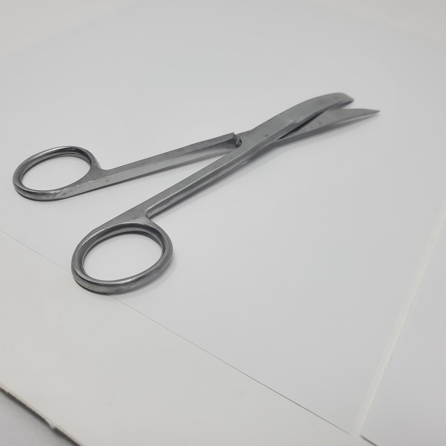 6.5" Curved Blade Stainless Steel Scissors  Tijeras de aseo y uso general para a