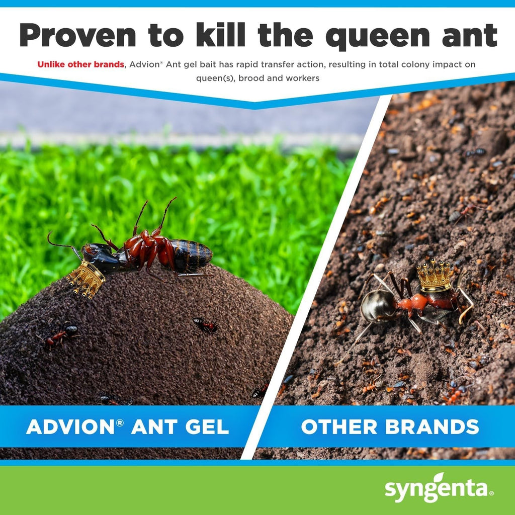 Advion Ant Gel Stations - 1 Pack (3 x 4g bait stations) by Syngenta